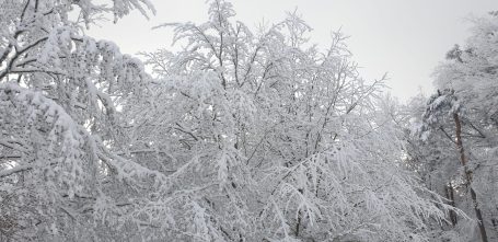 winterliche Umgebung