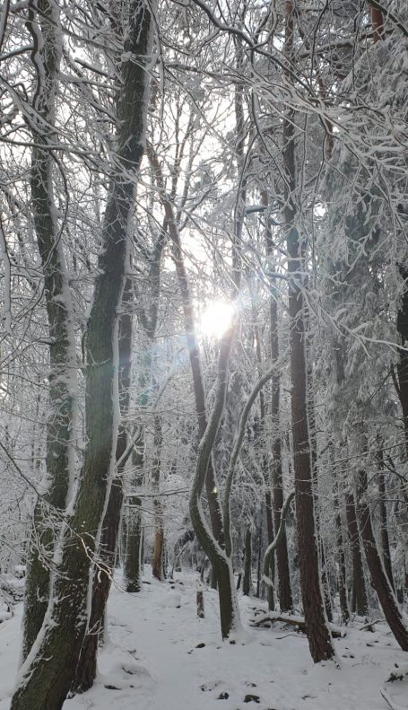 die Umgebung im Winter